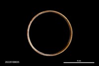 藏品(玉環)的圖片